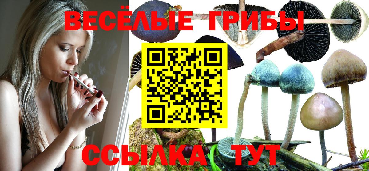 Псилоцибиновые грибы ЛСД  Вход с VPN  Каменка 