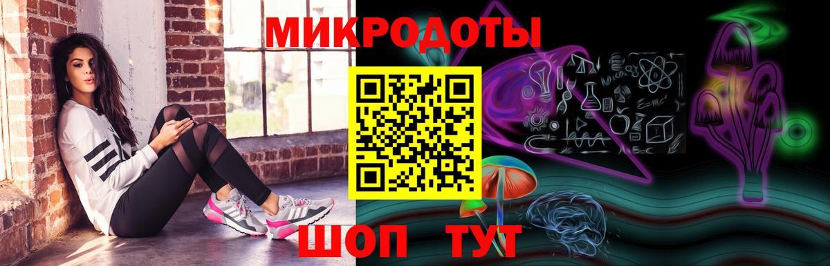Галлюциногенные грибы Psilocybe Каменка